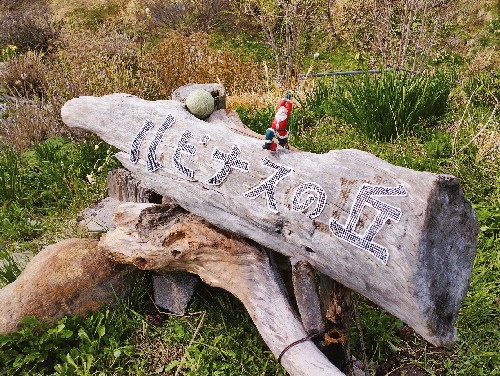 ルピナスの丘(写真)